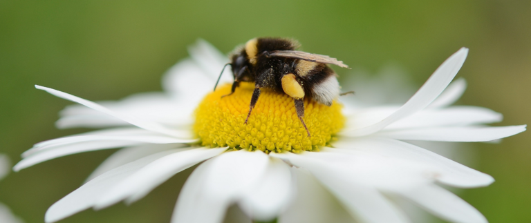 Free Event with Levenna! Spirit Messages + Free Mini Psychic x Card Readings.